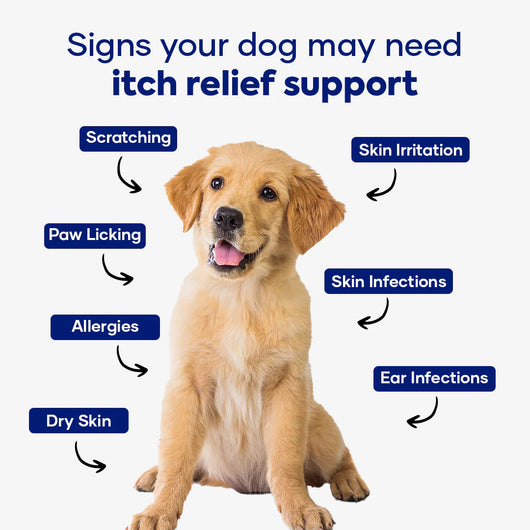 Aniwell DermaPrex: A New Age Natural Formula For Itching, Bald Spots, Inflammation, Paw Licking, & Allergy