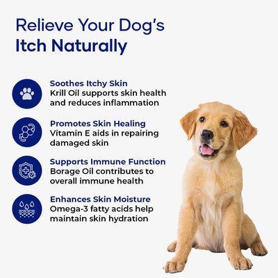 Aniwell DermaPrex: A New Age Natural Formula For Itching, Bald Spots, Inflammation, Paw Licking, & Allergy
