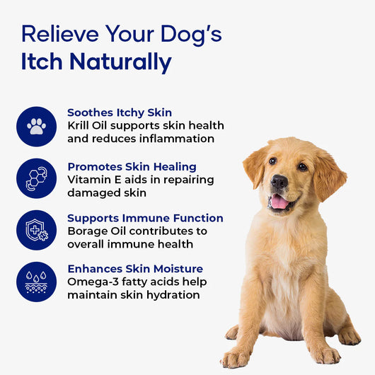 Aniwell DermaPrex: A New Age Natural Formula For Itching, Bald Spots, Inflammation, Paw Licking, & Allergy