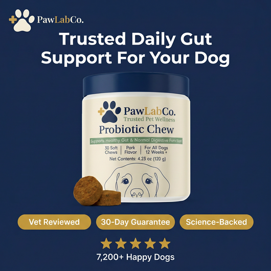 Probiotics for dogs – soft chews for gut & digestive health