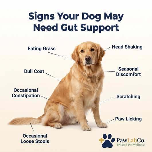 Probiotics for dogs – soft chews for gut & digestive health