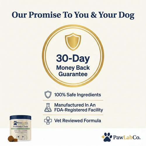 Probiotics for dogs – soft chews for gut & digestive health