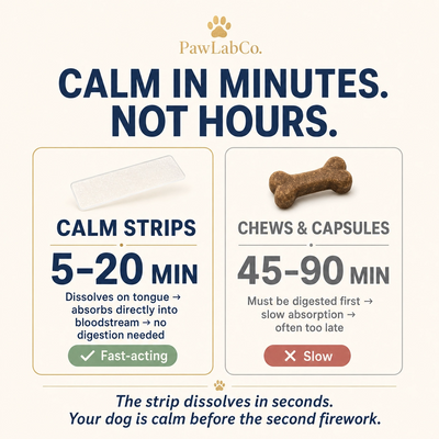 Calm Strips | Pet Anxiety Dissolving Oral Strips