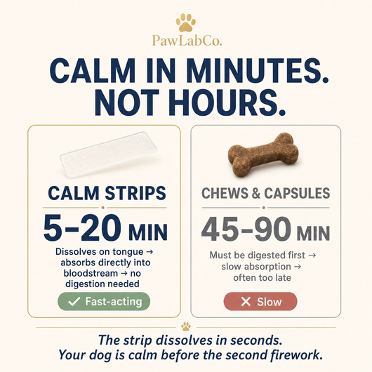 Calm Strips | Pet Anxiety Dissolving Oral Strips