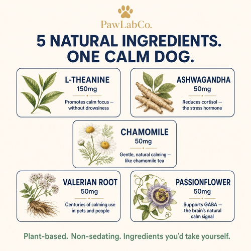 Calm Strips | Pet Anxiety Dissolving Oral Strips
