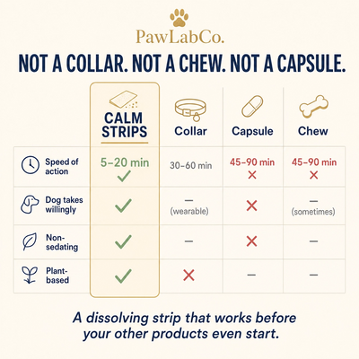 Calm Strips | Pet Anxiety Dissolving Oral Strips