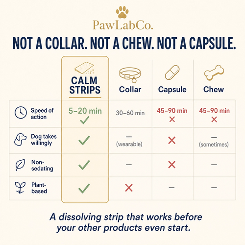 Calm Strips | Pet Anxiety Dissolving Oral Strips