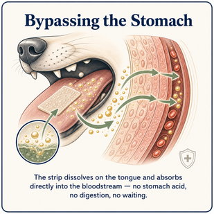 Bypass The Stomach